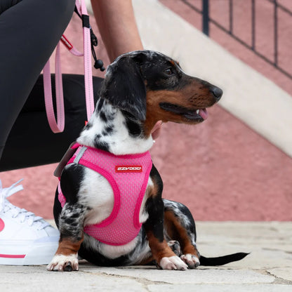 EzyDog FormFit Mesh Harness Green