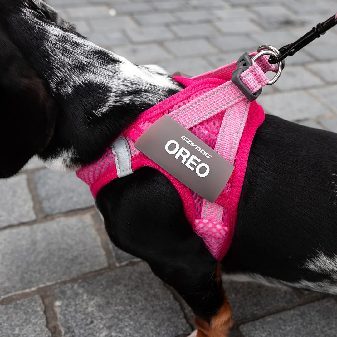 EzyDog FormFit Mesh Harness Green