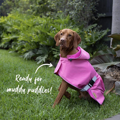 Kazoo Rainy Days Dog Raincoat Pink