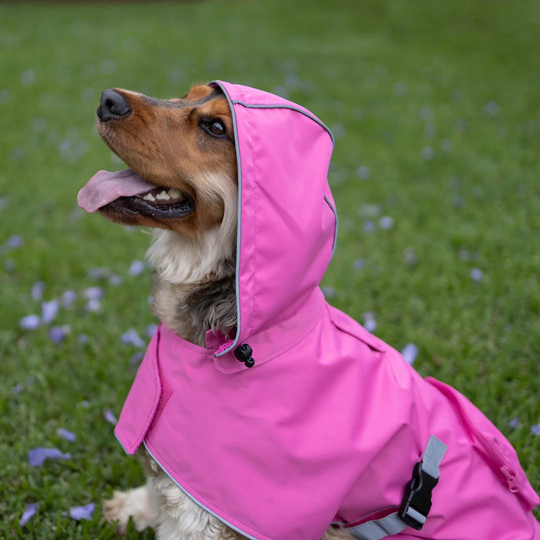 Kazoo Rainy Days Dog Raincoat Pink