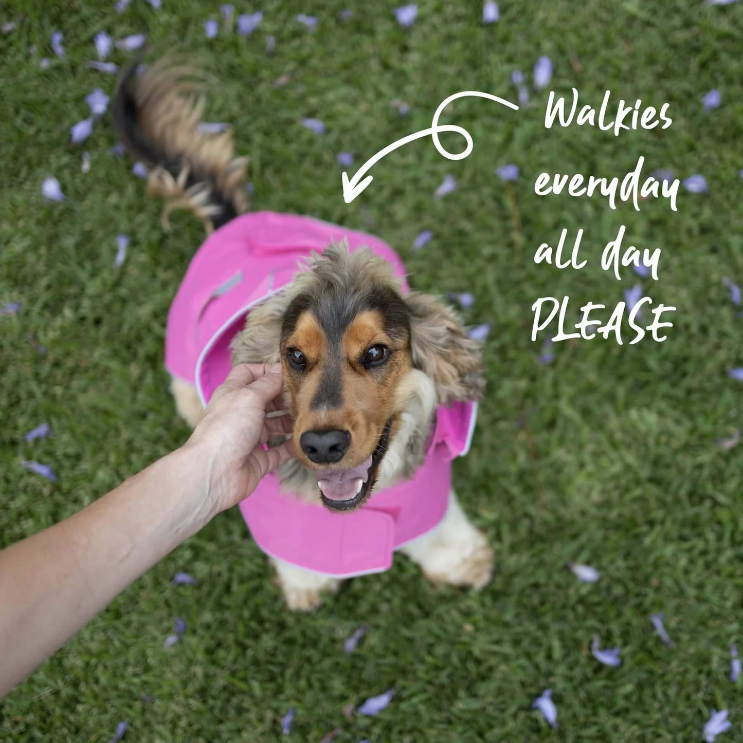 Kazoo Rainy Days Dog Raincoat Pink