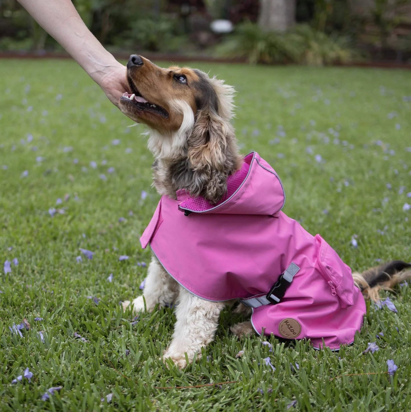 Kazoo Rainy Days Dog Raincoat Pink