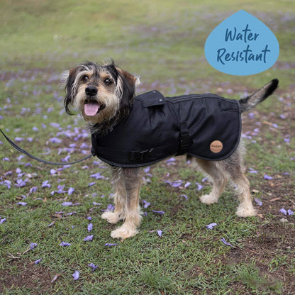 Kazoo Adventure Coat Black
