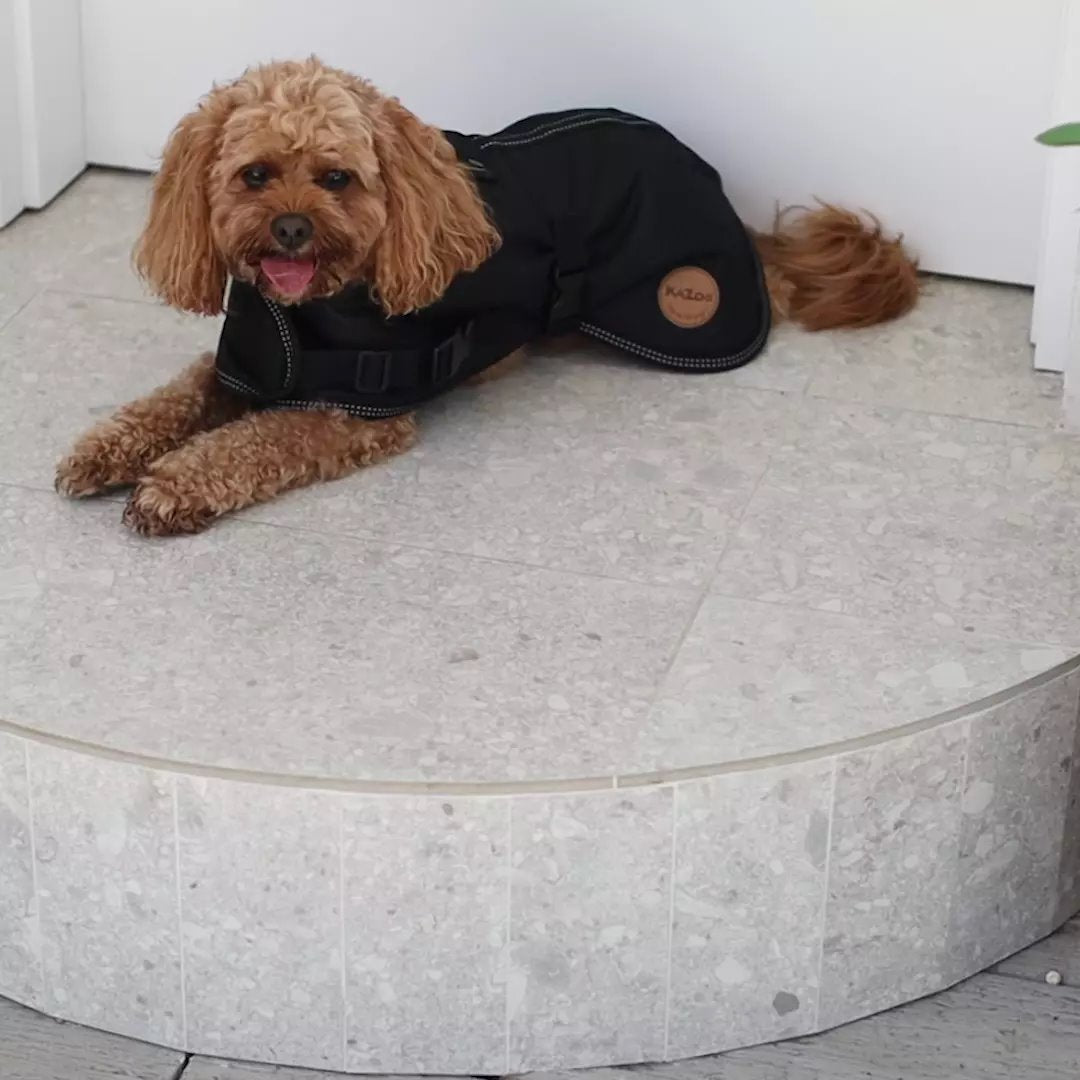 Kazoo Adventure Coat Black