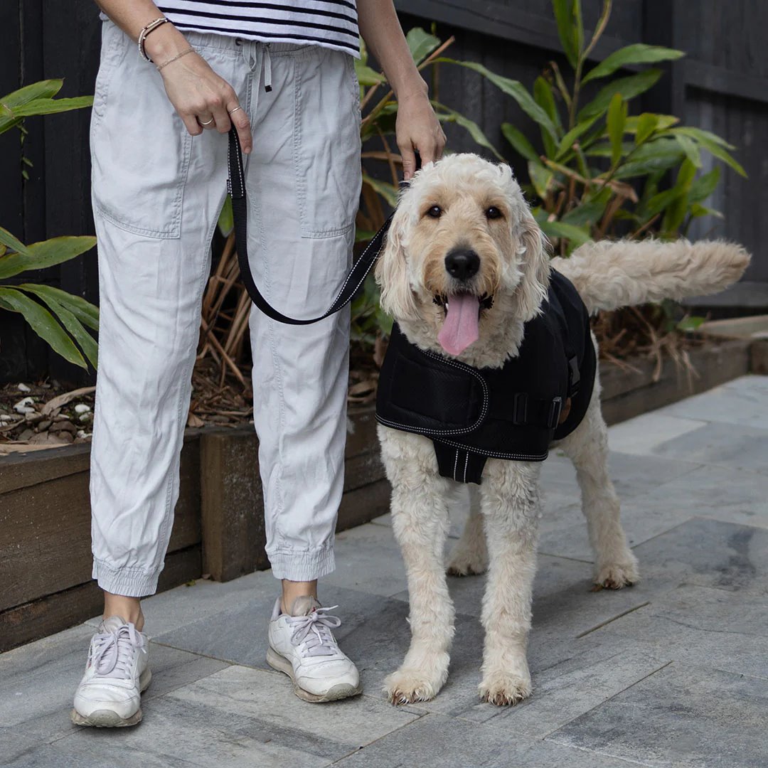 Kazoo Adventure Coat Black