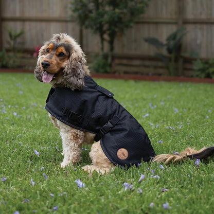 Kazoo Adventure Coat Black
