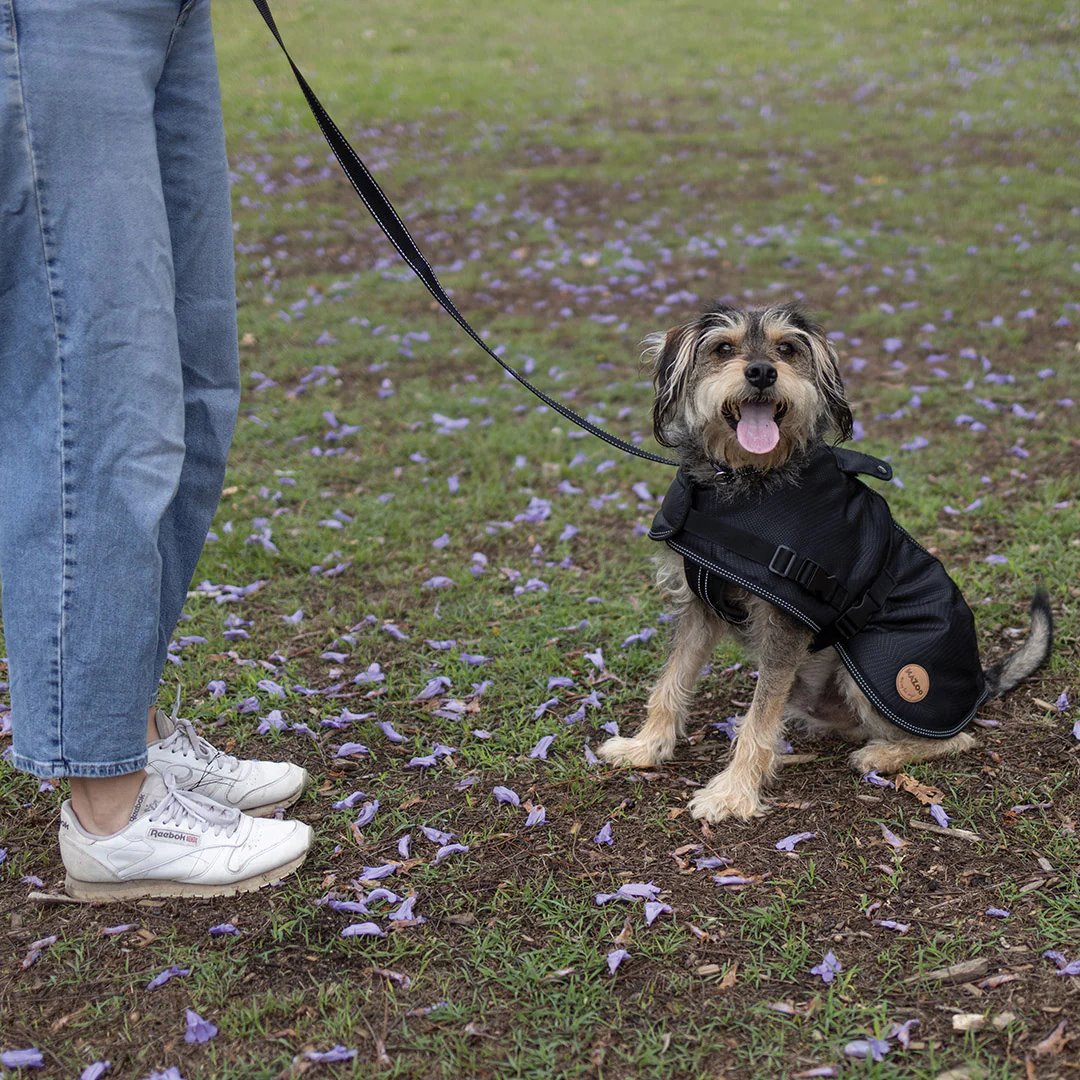 Kazoo Adventure Coat Black
