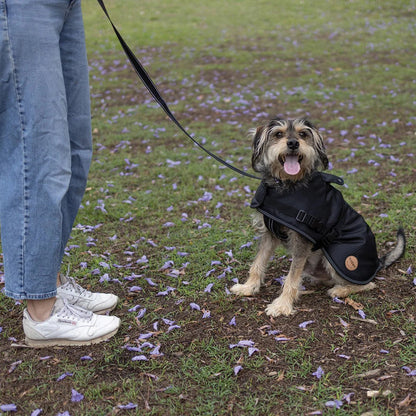 Kazoo Adventure Coat Black