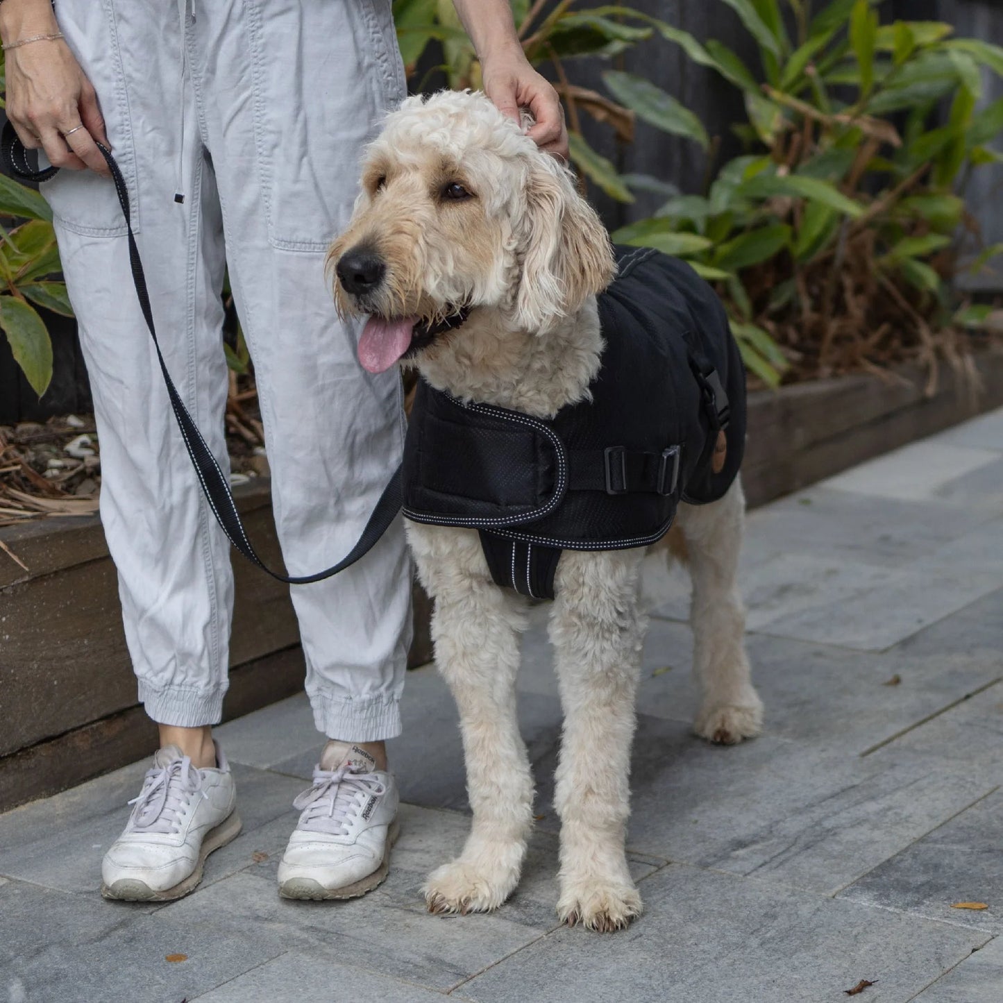 Kazoo Adventure Coat Black