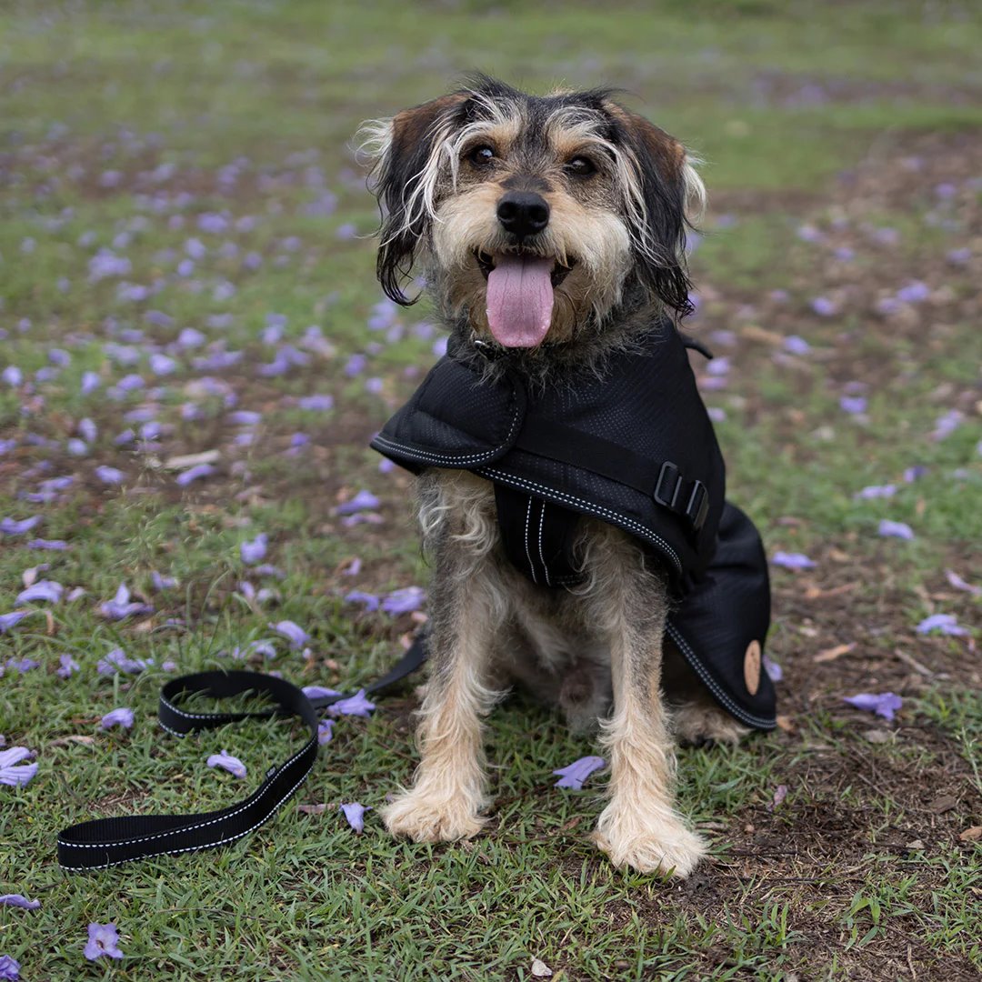 Kazoo Adventure Coat Black