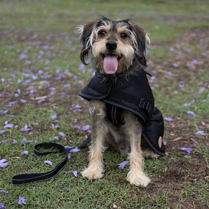 Kazoo Adventure Coat Black