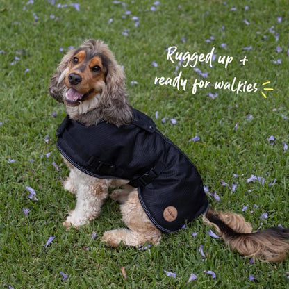 Kazoo Adventure Coat Black