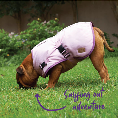 Kazoo Eco Adventure Coat Quartz