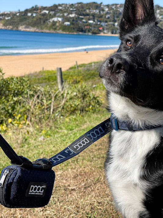 DOOG Walkie Pouch Neosport Navy