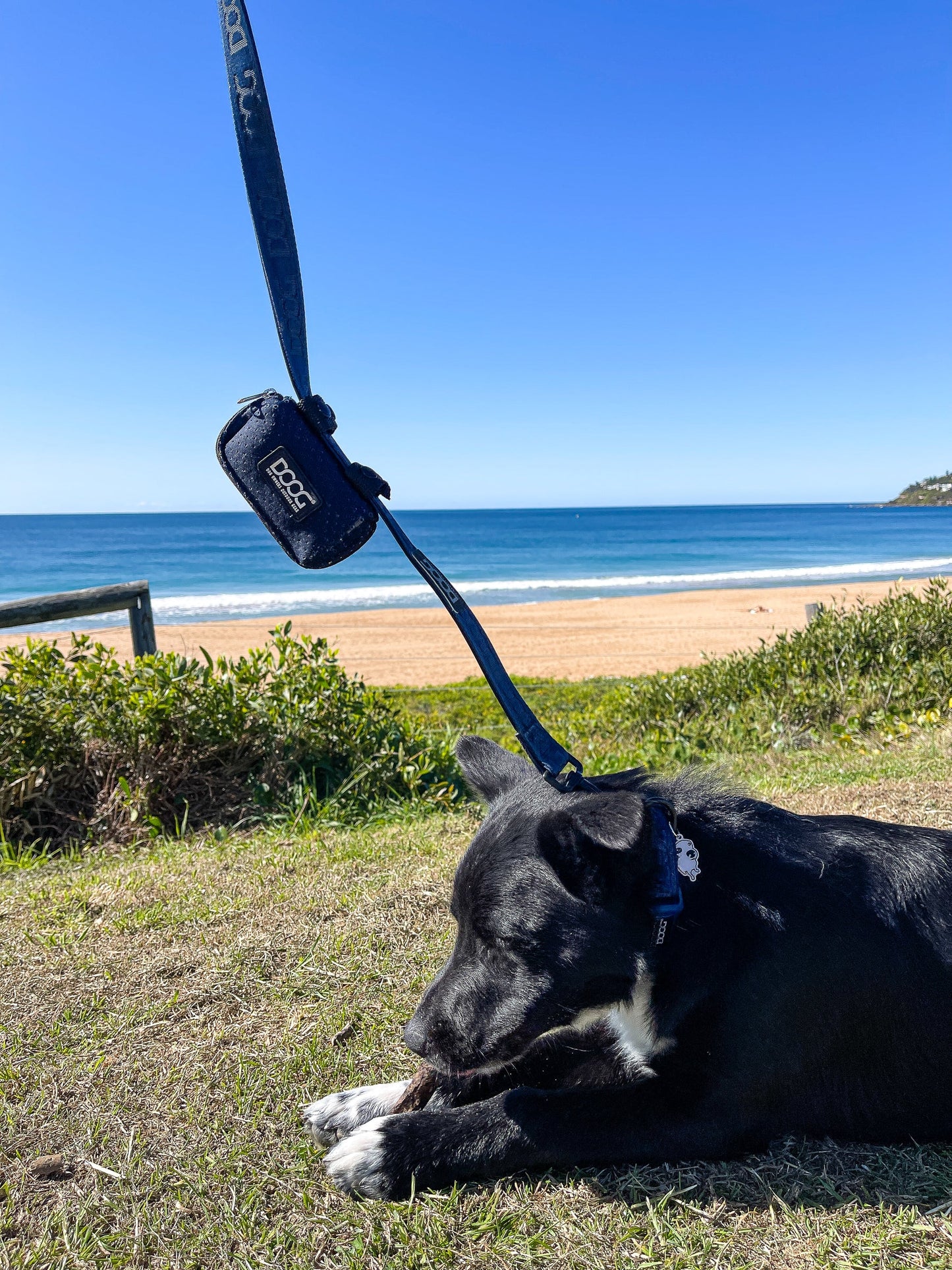 DOOG Walkie Pouch Neosport Black