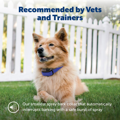 PetSafe Elite Little Dog Spray Bark Control Collar
