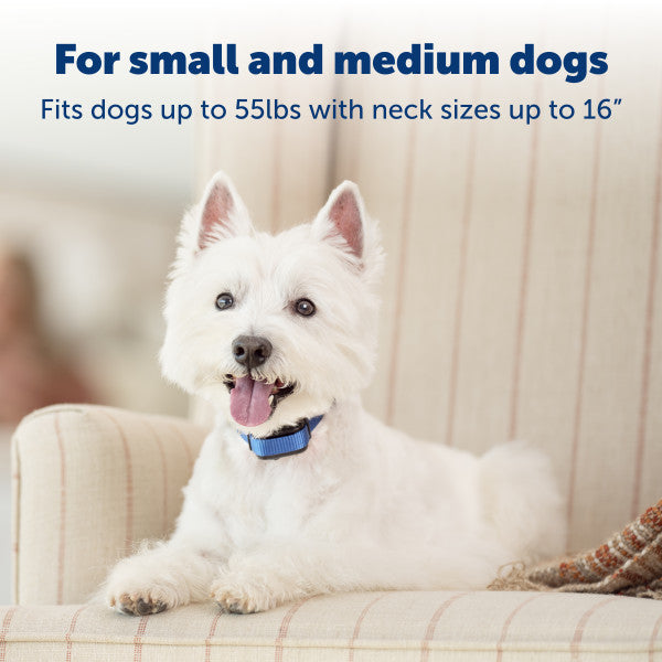 PetSafe Elite Little Dog Spray Bark Control Collar