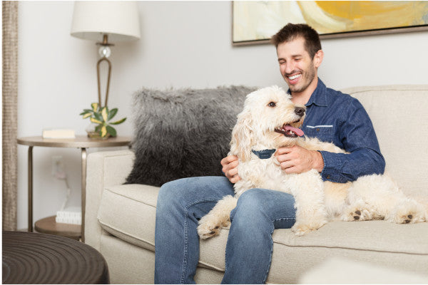 PetSafe Audible Bark Collar