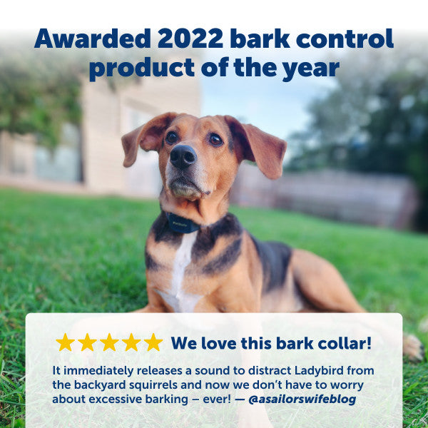 PetSafe Audible Bark Collar
