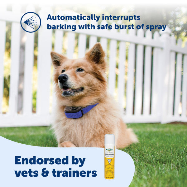 PetSafe Spray Control Can Refill Citronella