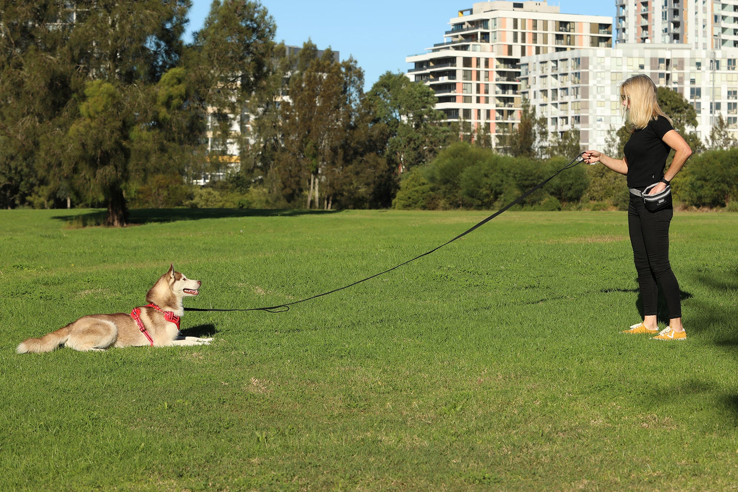 DOOG Training Leash Extra Long Black