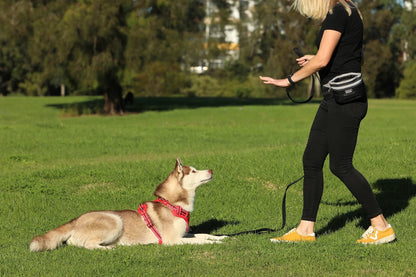 DOOG Training Leash Extra Long Black