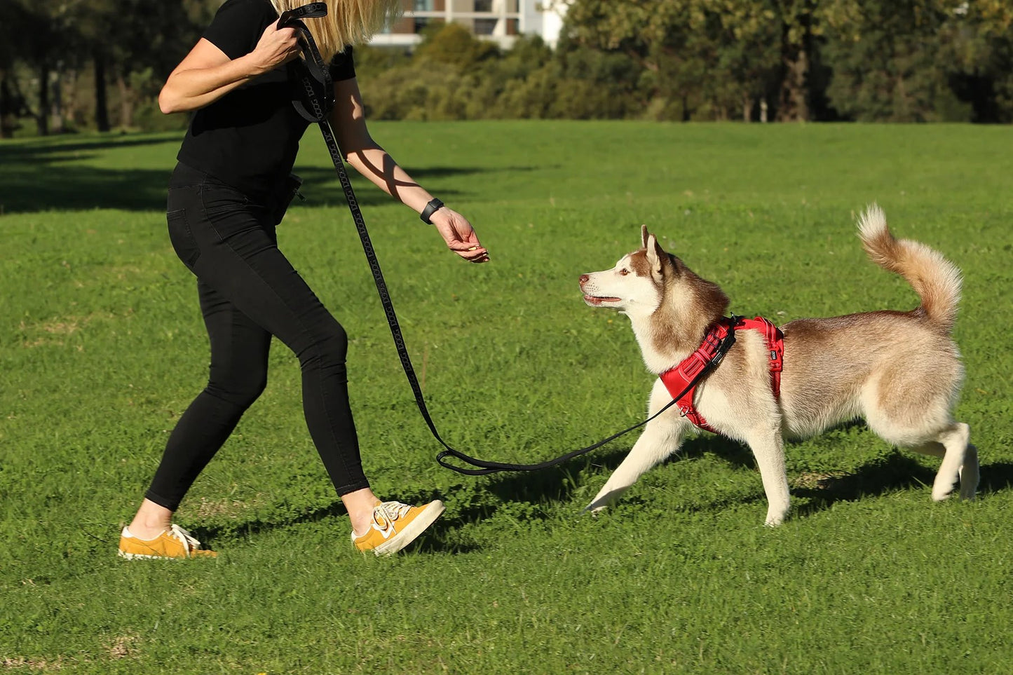 DOOG Training Leash Extra Long Black