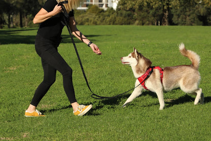 DOOG Training Leash Extra Long Black
