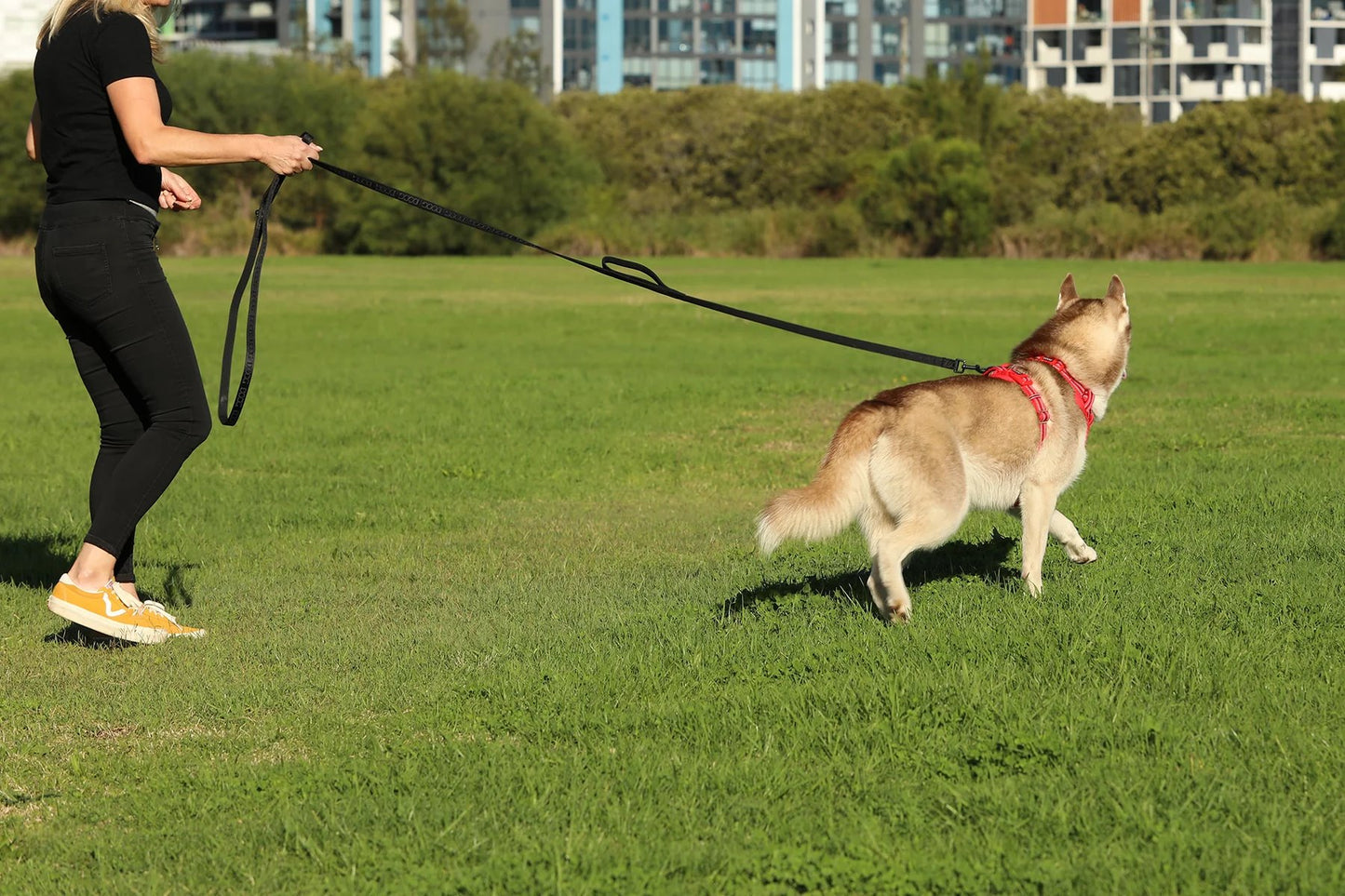 DOOG Training Leash Extra Long Black