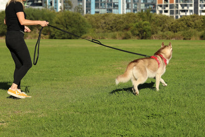 DOOG Training Leash Extra Long Black