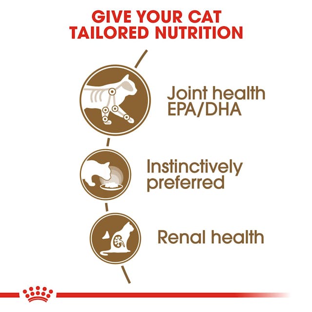 Royal Canin Ageing 12+ Wet Cat Food Pouches Chunks in Gravy
