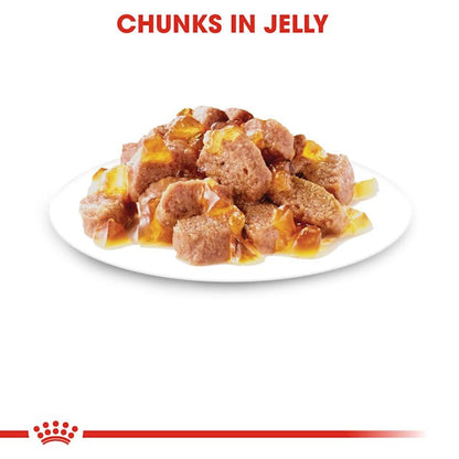 Royal Canin Ageing 12+ Wet Cat Food Pouches Chunks in Jelly