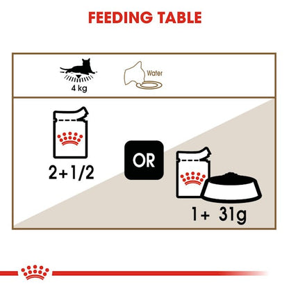 Royal Canin Ageing 12+ Wet Cat Food Pouches Chunks in Jelly