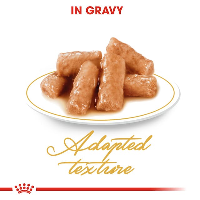 Royal Canin British Short Hair Cat Wet Food Pouches in Gravy