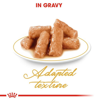 Royal Canin British Short Hair Cat Wet Food Pouches in Gravy