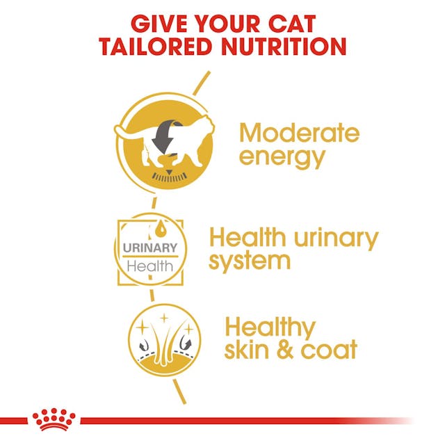Royal Canin British Short Hair Cat Wet Food Pouches in Gravy