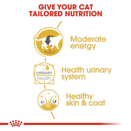 Royal Canin British Short Hair Cat Wet Food Pouches in Gravy