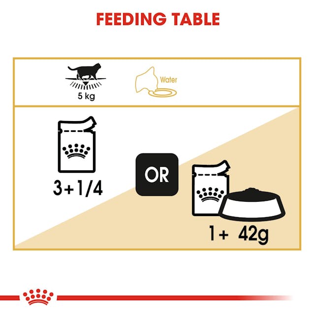Royal Canin British Short Hair Cat Wet Food Pouches in Gravy