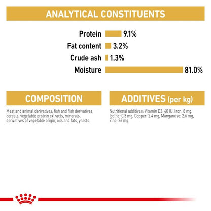 Royal Canin British Short Hair Cat Wet Food Pouches in Gravy