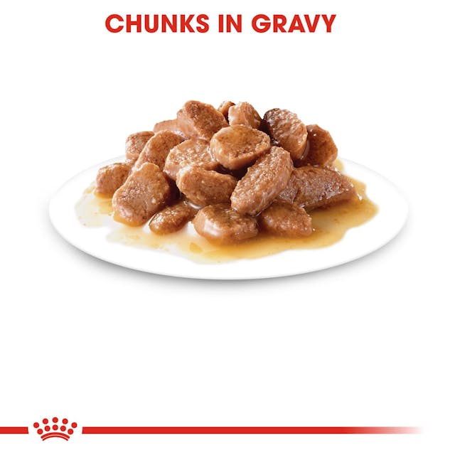 Royal Canin Instinctive Cat Wet Food Pouches Chunks in Gravy