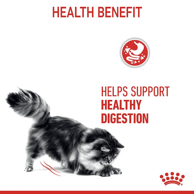 Royal Canin Digestive Care Cat Wet Food Pouches in Gravy