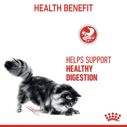 Royal Canin Digestive Care Cat Wet Food Pouches in Gravy