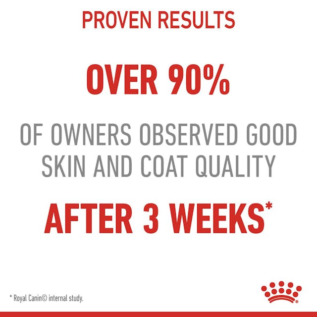 Royal Canin Hair & Skin Care Cat Wet Food Pouches in Jelly