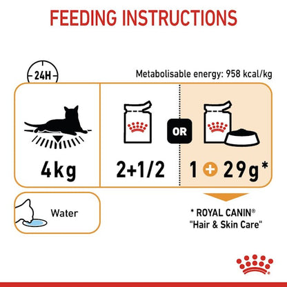 Royal Canin Hair & Skin Care Cat Wet Food Pouches in Gravy