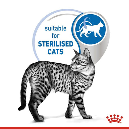 Royal Canin Indoor Sterilised Cat Wet Food Pouches in Jelly