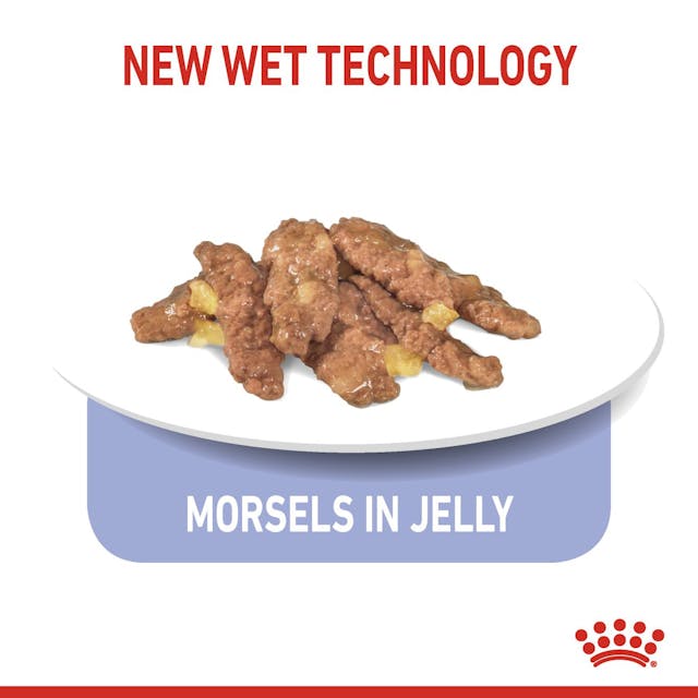 Royal Canin Indoor Sterilised Cat Wet Food Pouches in Jelly