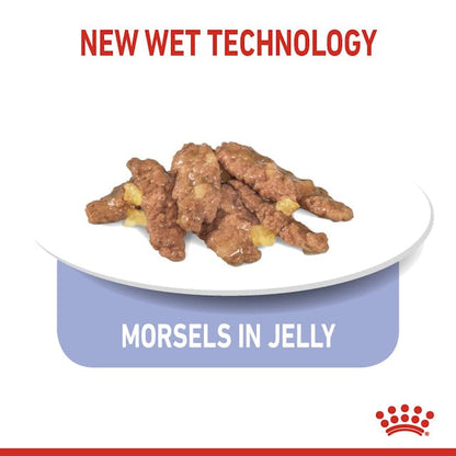 Royal Canin Indoor Sterilised Cat Wet Food Pouches in Jelly