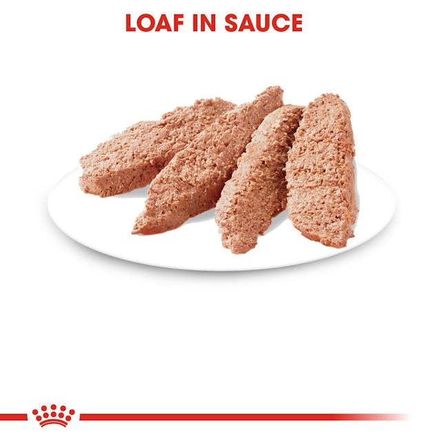 Royal Canin Instinctive Cat Wet Food Pouches Loaf