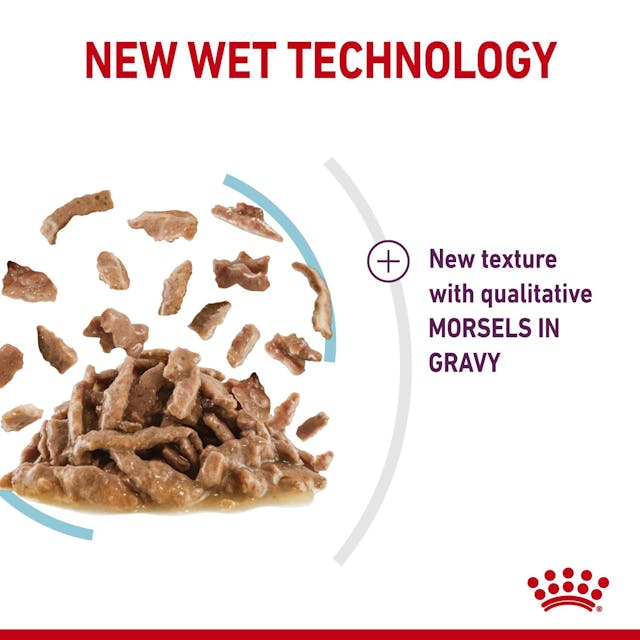 Royal Canin Sensory Feel Cat Wet Food Pouches in Gravy