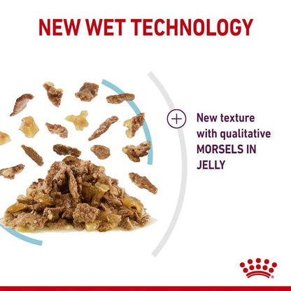 Royal Canin Sensory Feel Cat Wet Food Pouches in Jelly